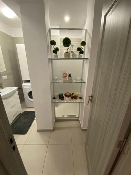 Cozy Central Apartment With 2 Rooms Бухарест Экстерьер фото